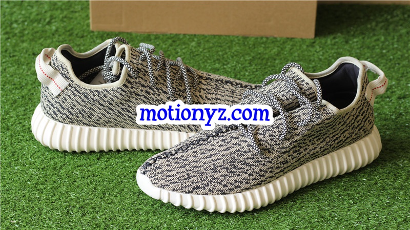 God Version Yeezy Boost 350 Turtle Dove